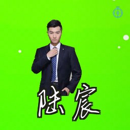 陆宸