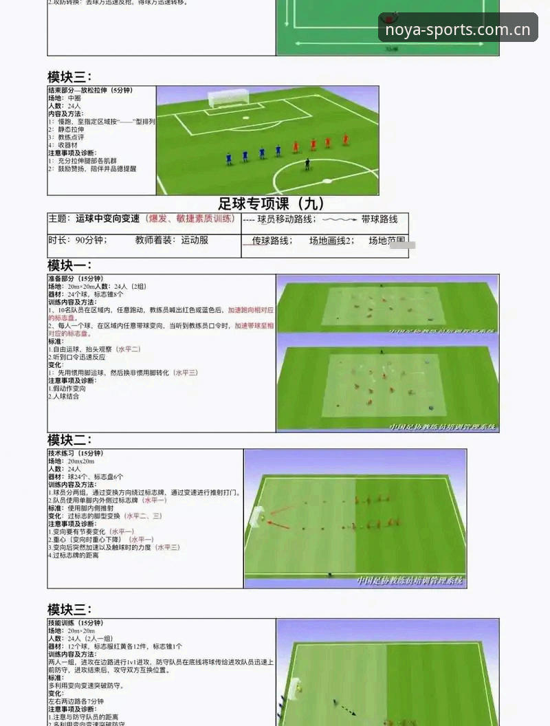诺亚体育新手教程 解密职业足球背后的管理哲学:从拉比奥签约风波看诺亚体育新手教程